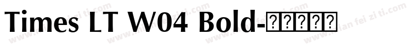 Times LT W04 Bold字体转换